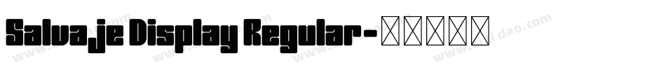 Salvaje Display Regular字体转换